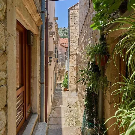 Apartment Hedera Estate Hedera A6 Dubrovnik